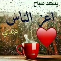 محمود محمد النزلاوى