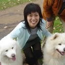 Ying Zhang
