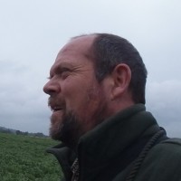 Paul Daly