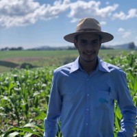 José Vinicius Ribeiro