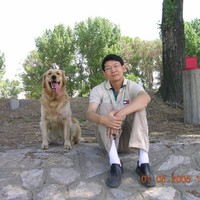 Greg W G Yang