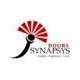 Doors Synapsys