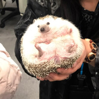 曹靖翎