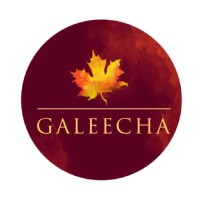 Galeecha India Pvt. Ltd.