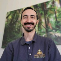 Dan Vidal