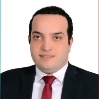 Ahmed M. Abulfotouh