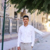islam Rizk Ibrahim Rizk PMP®,SSYB™,NCN-A™,PMI-RMP Candidate