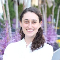 Lindsay Stern