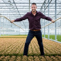 Steef Van Der Knaap