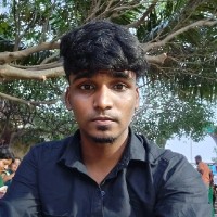 Dhamodharan S