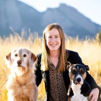 Sarah Stafford, Dvm, Mba