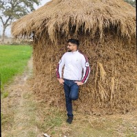 Anil Vimal