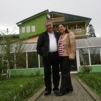 Stelea Mira