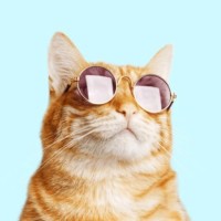 Social Media Professionals (We Spill All The Social Tea Here)