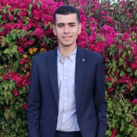 Mohamed Shalapy