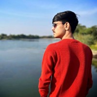 mr Ankit