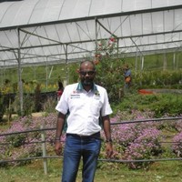 Yagathali Bin Samsud Ali