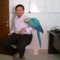 Yogi Ananto