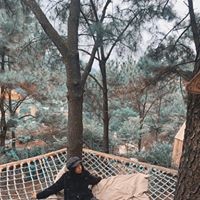 Vân Hà Phạm