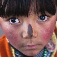 赵学才