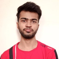 Vinay Panwar