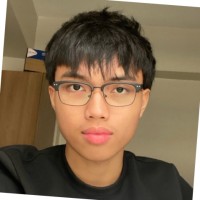 Karl Michael Cadapan