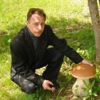 Александр Лапин