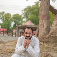 Syed Hussnain Ali