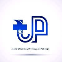Editor jvpp