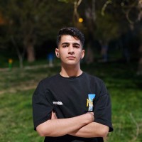 Sina Behdad