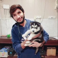Muhammad Hassan Tahir