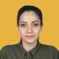 Narges Adine