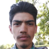 David Palomino