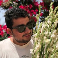 Ihab Nouar