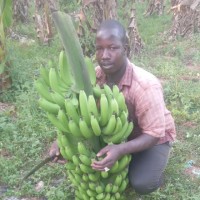Siaba Bamba