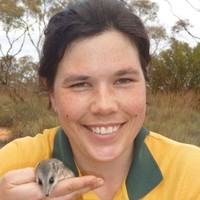 Amanda McLean
