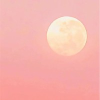 魏丽琼