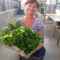 Ingeborg Aschner