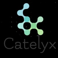 Catelyx Consultants