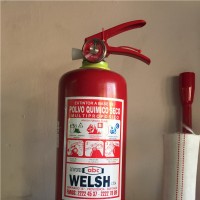 Loreto Welsh