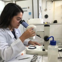 Anny Beatriz Almeida Braga de Matos Mesquita