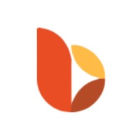 Buzzer Digital Marketing Agency