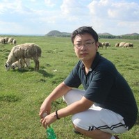 Mingyao LI