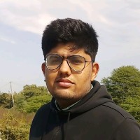 Parth S.