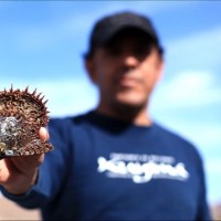 Leopoldo Lopez Contreras