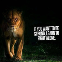 Mohammed Abdus Salam