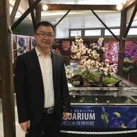 朱未来