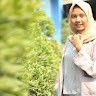 Elikha Syafitri