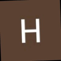 Hisham H