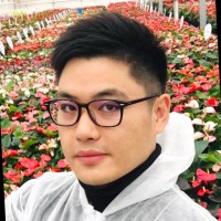 王Wang博Bo